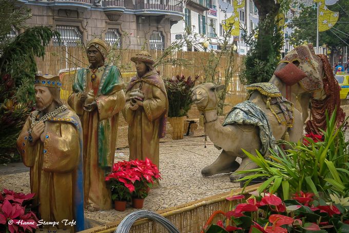 Nu nærmer julen sig. Billedet her er fra Madeira, hvor man hvert år til jul har smukke udsmykninger.